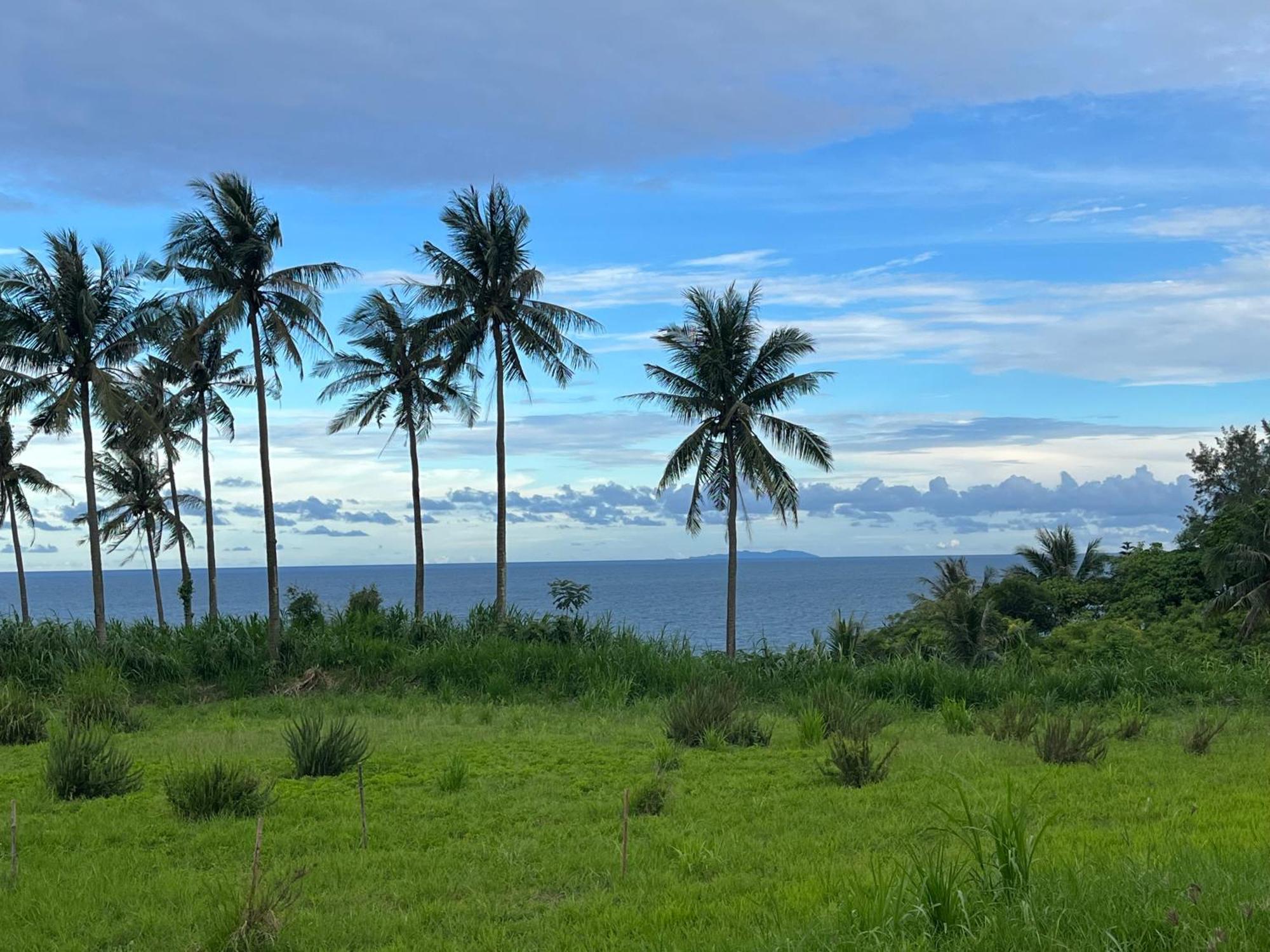 春夏秋冬海景民宿ocean View Motel Chenggong Bagian luar foto