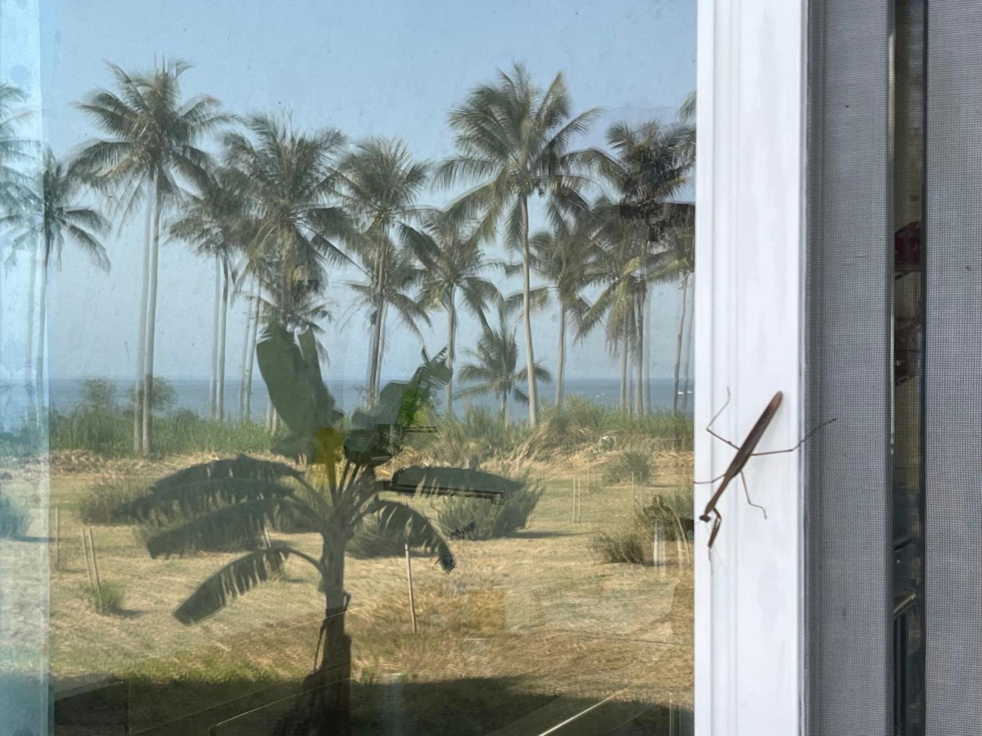春夏秋冬海景民宿ocean View Motel Chenggong Bagian luar foto
